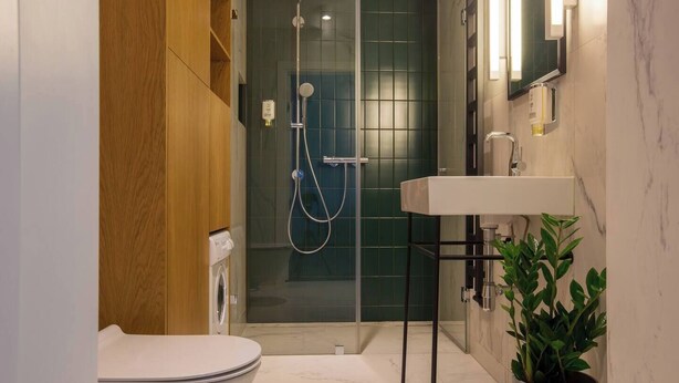 A modern bathroom with a glass shower enclosure, a white toilet, a sink with a mirror, and a potted plant.