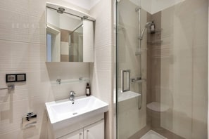 A modern bathroom with a glass shower enclosure, a white sink, and a mirror above it.