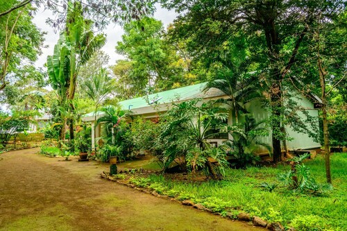 Kilimanjaro Hideaway