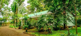 Kilimanjaro Hideaway