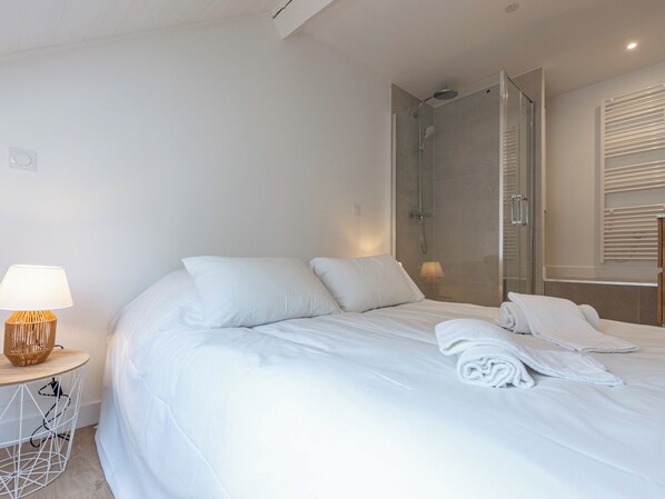 Iron/ironing board, WiFi, bed sheets - Studio TANAGA (Annecy)