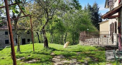 Paradies im Grünen