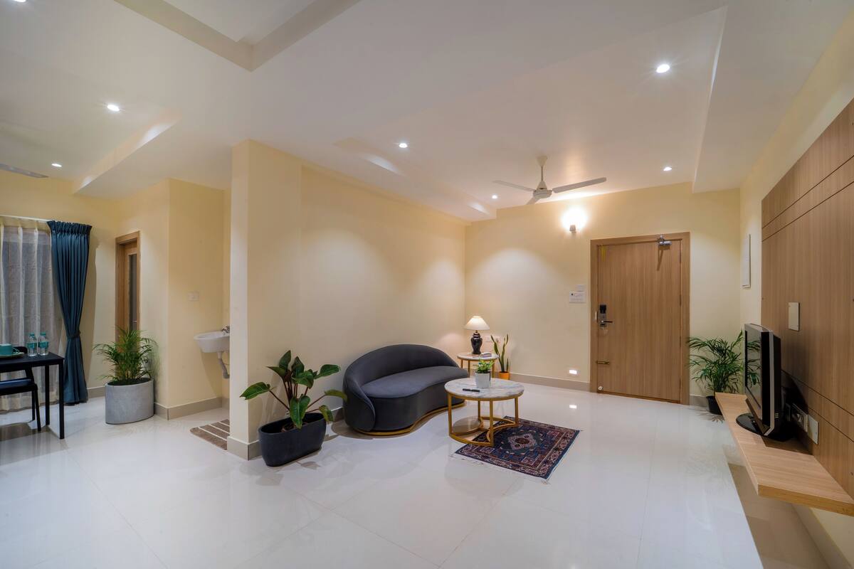A modern living room with a sofa, a small round table, a TV, and potted plants.