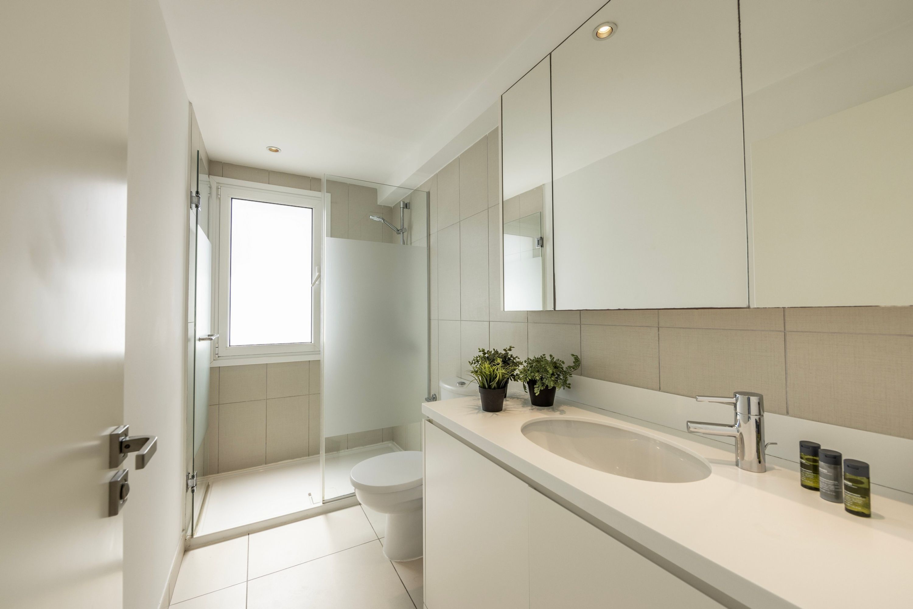 A modern bathroom with a large mirror, a sink, and two potted plants.