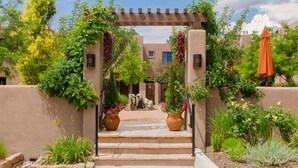 Un patio con una pérgola, escalones que llevan a una puerta y plantas en macetas.