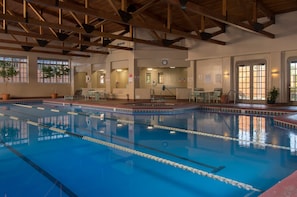 Una piscina interna con corsie ben definite, travi di legno al soffitto e piante in vaso.