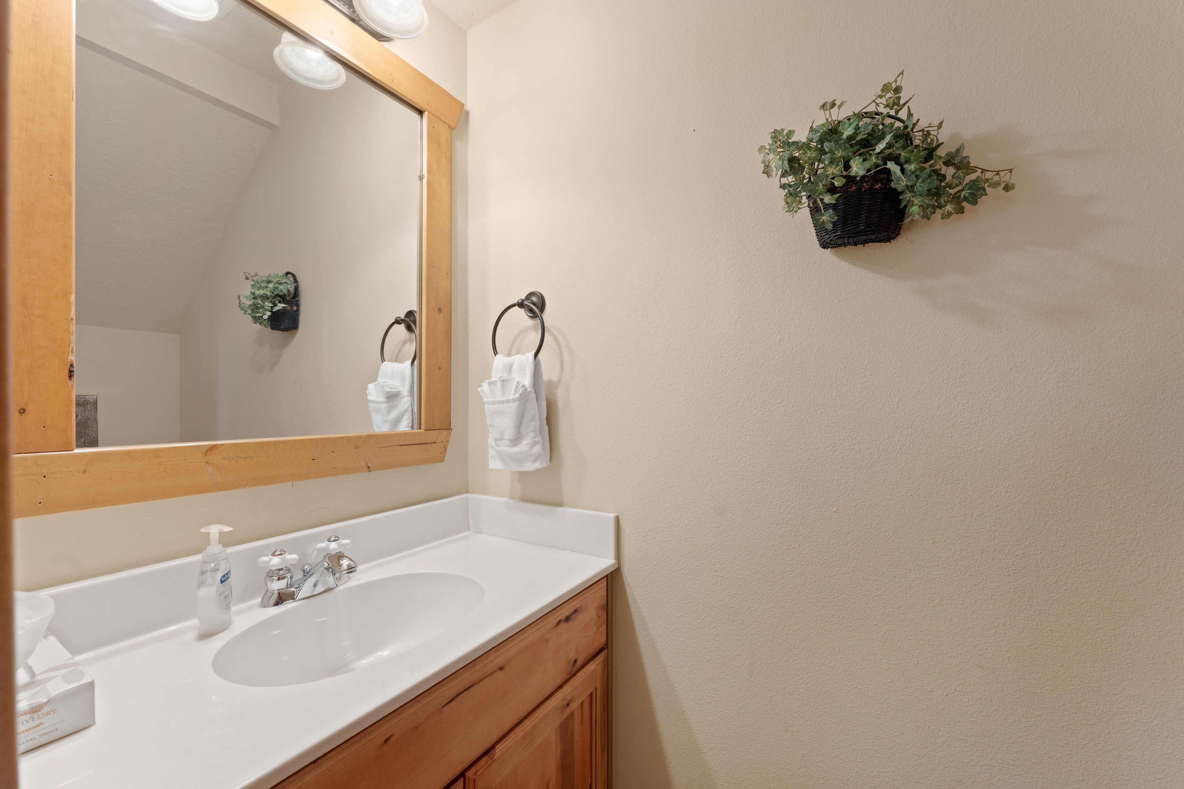Une salle de bain avec un lavabo blanc, un meuble-lavabo en bois, un grand miroir et une petite plante en pot accrochée au mur.