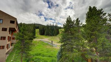 Condo, 1 habitación | Áreas de la propiedad