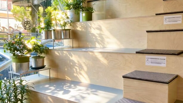 A modern interior with wooden steps, potted plants, and informational signs. - Meow Hero Youth Hostel (Shanghai)