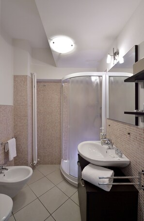 Shower, hair dryer, bidet, towels