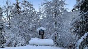 A snow-covered landscape with a wooden signpost in the center. - Apartment in Fulpmes Near Stubai Glacier (Fulpmes)