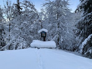 Appartement | Jardin
