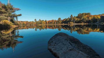 A calm lake with a clear reflection of trees and a rock in the foreground.