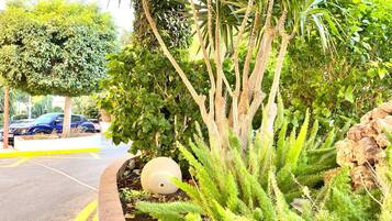 Apartamento | Exterior