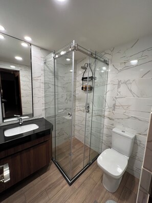 Hair dryer, towels, soap, toilet paper