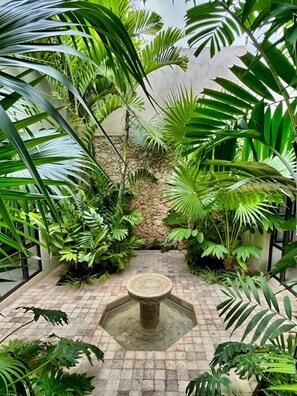 Property grounds - Casa 54 Montejo - Downtown & Culture by LAHOS (Mérida)