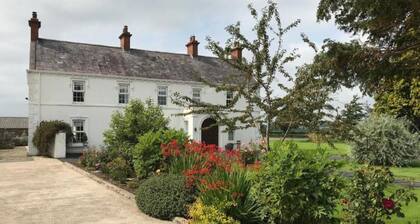 Twin Room Ensuite Near Hillsborough Palaces