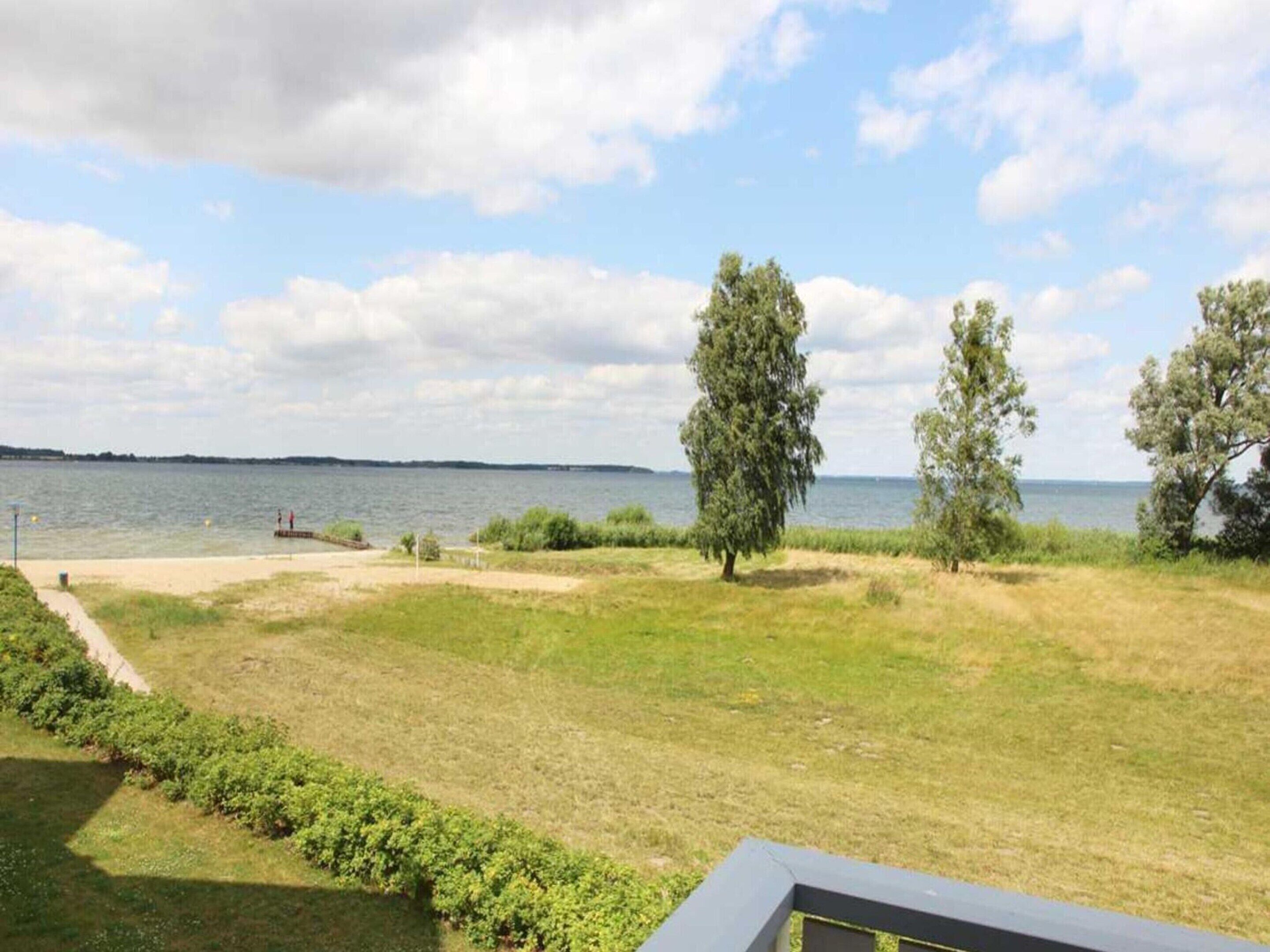 A grassy area with trees and a body of water in the background.