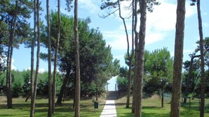 A pathway through a park with tall trees and a clear sky. - Elegant Group Stay Near Caorle (Caorle)