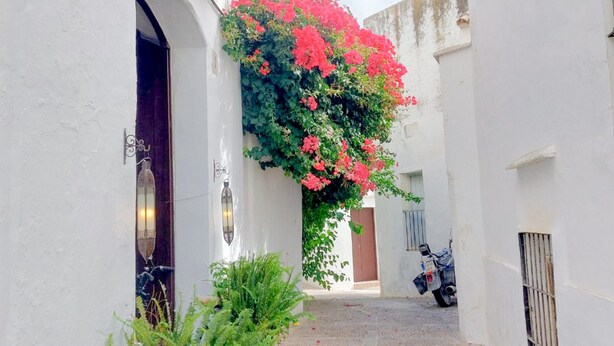 Apartment | Exterior - Pura Vida - Apartment In Vejer De La Frontera (Vejer de la Frontera)
