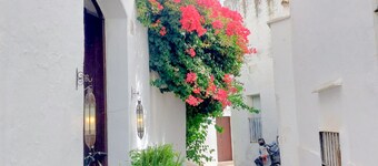 Pura Vida - Apartment In Vejer De La Frontera