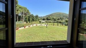 Villa | View from property - House in Tuscany Near Pisa & Lucca (Lucca)