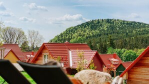 Uklassifisert bilde, 4 av 29, knapp