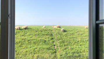 Rumah | Pemandangan dari properti