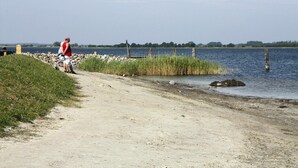 Un sendero de tierra junto a un cuerpo de agua, con un muelle de madera que se adentra en el agua.