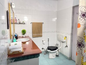 Regadera, secadora de cabello, bidet, toallas