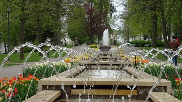 A fountain with water jets in a park setting, surrounded by flower beds and trees. - Apartment Bad Camberg (Bad Camberg)