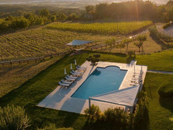 An aerial view of a pool area with lounge chairs, a covered seating area, and a vineyard in the background.