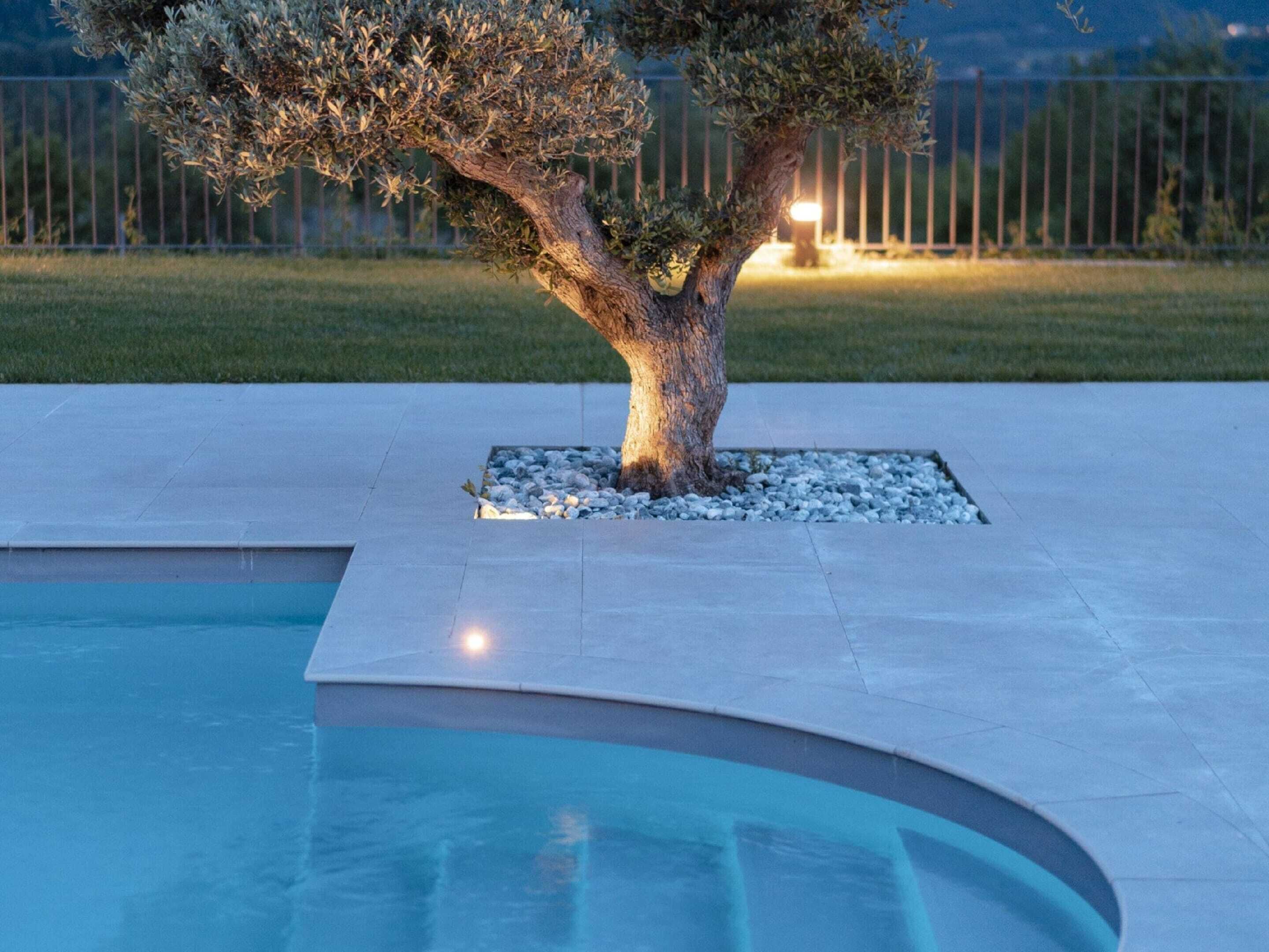 Un espace piscine agrémenté d’un arbre planté dans un bac carré.