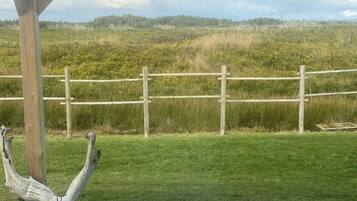 Een houten omheining met een grasveld en bomen op de achtergrond.