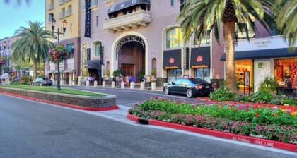 Luxury 1 bedroom apartment in Santana Row, San Jose