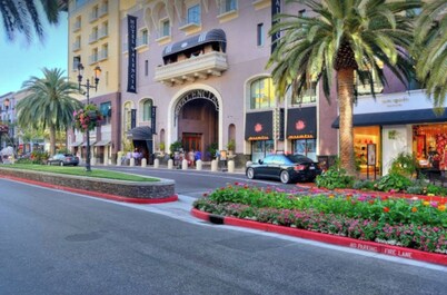 Luxury 1 bedroom apartment in Santana Row, San Jose 