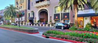 Luxury 1 bedroom apartment in Santana Row, San Jose