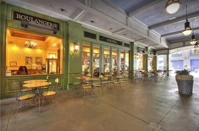 Luxury 1 bedroom apartment in Santana Row, San Jose 