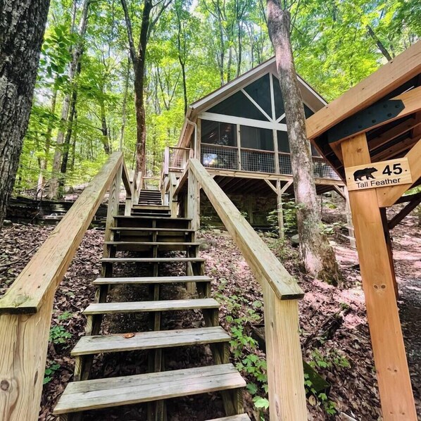 Terrain de l’hébergement 