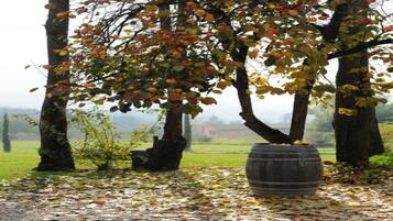 Cottage | Pemandangan dari properti