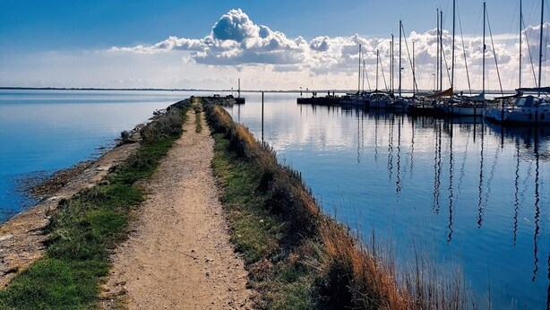 A calm lake with a dirt path leading to a dock with several boats. - Ferienwohnung Sturmeck, Fehmarn-orth (Fehmarn)