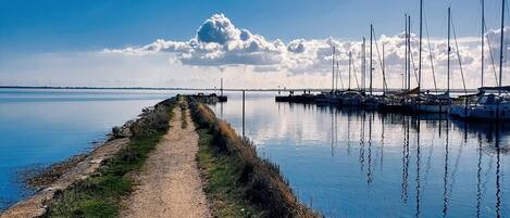 Lejlighed | Udsigt fra overnatningsstedet