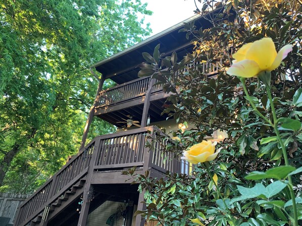 Overnattingsstedets uteområder