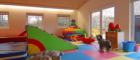 House | Game room