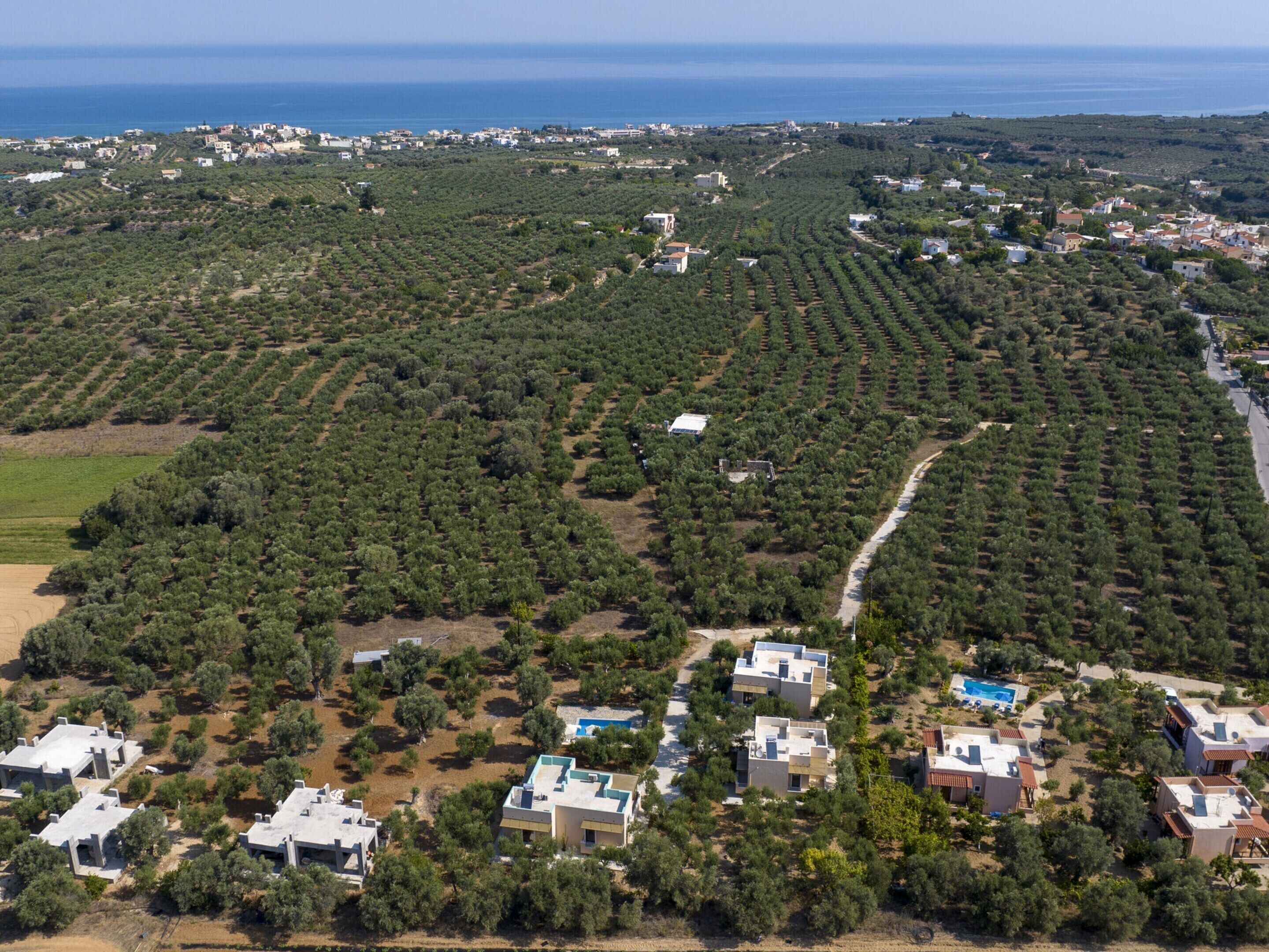 An aerial view of a coastal area with olive groves and residential buildings.