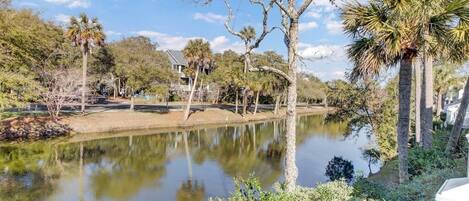 A serene lakeside view with a variety of trees, including palm trees, and a house in the background.