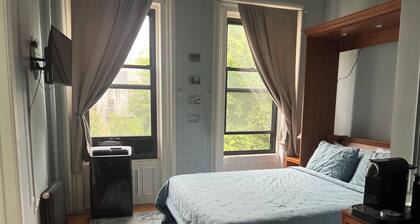 Charming Private Room with En-suite bathroom in Brooklyn Brownstone