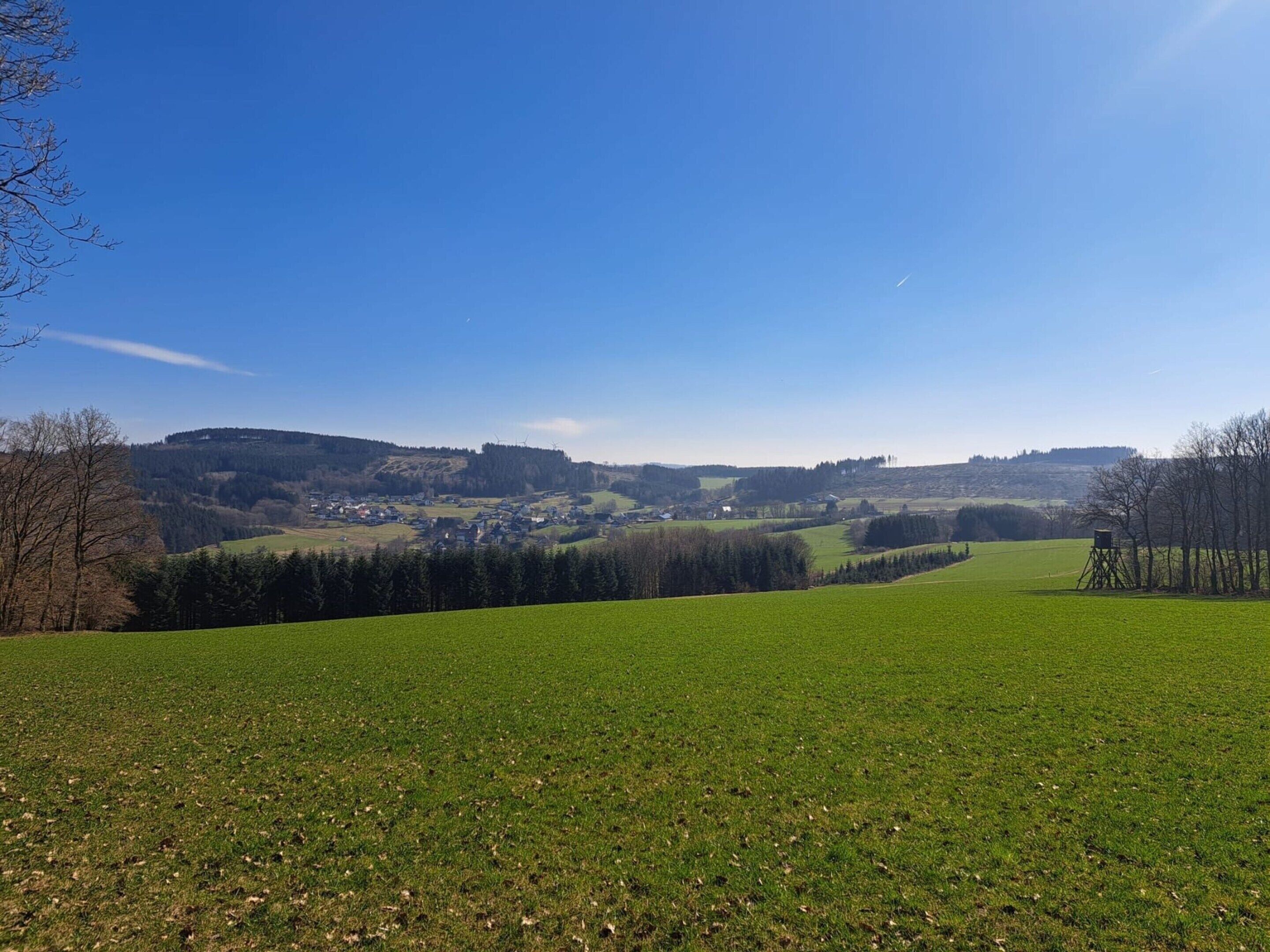 A rural landscape with a green field, trees, and a distant village.