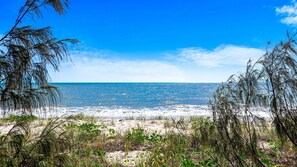 On the beach - Sandy Paws in Toogoom (Toogoom)