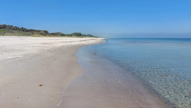 A wide sandy beach with clear blue water and a distant tree line. - 12 Person Holiday Home in Vaeggerlose (Vaeggerlose)